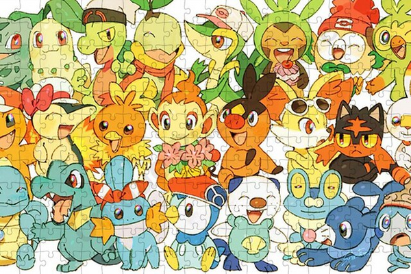 Puzzles Pokémon pour toute la famille 500 Pièces