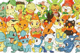 Puzzles Pokémon pour toute la famille 500 Pièces