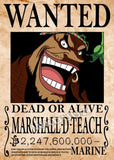 Avis De Recherche One Piece Wanted